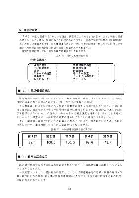 shinsa_text_2009_Page_44.jpg